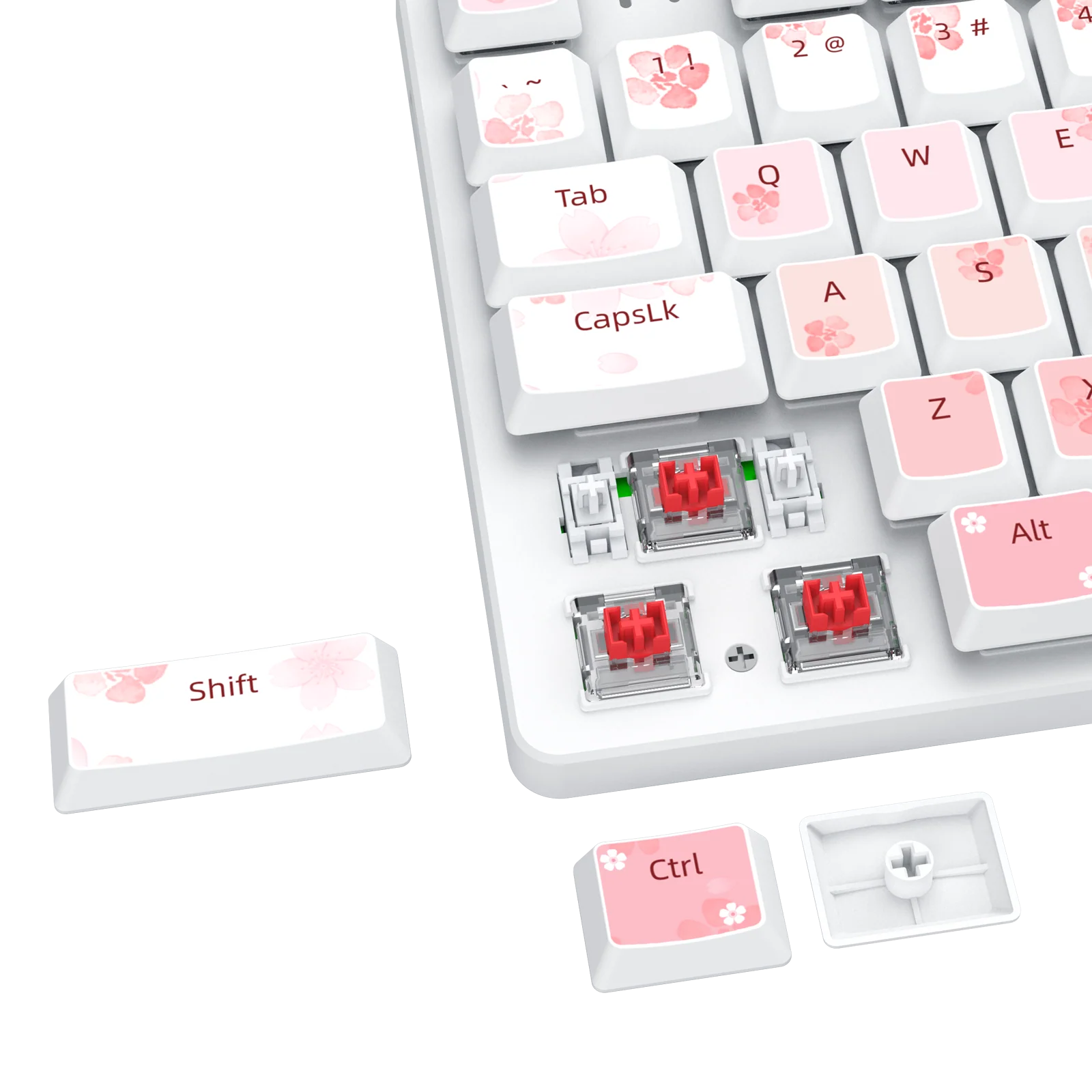 BS7552 Wireless Keyboard and Mouse Combo - Image 9