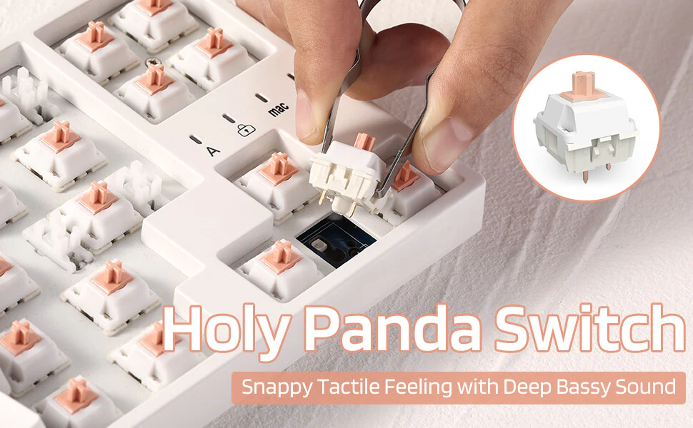 Redragon x LTC Panda Switches for Mechanical Keyboard DIY (30 Pcs) - Image 6