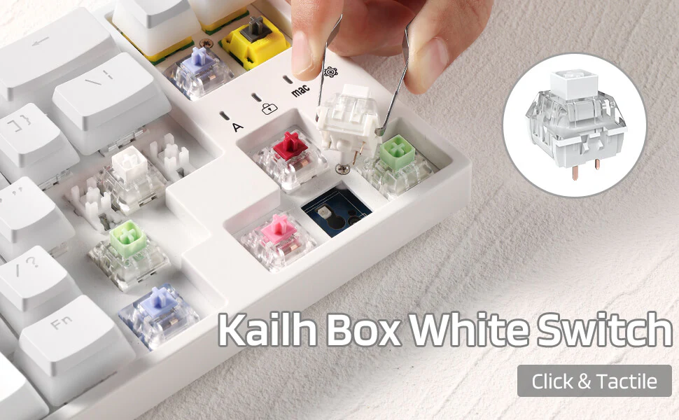 Redragon x LTC Kailh Box Switches White for Mechanical Gaming Keyboard DIY (30 Pcs, White) - Image 8