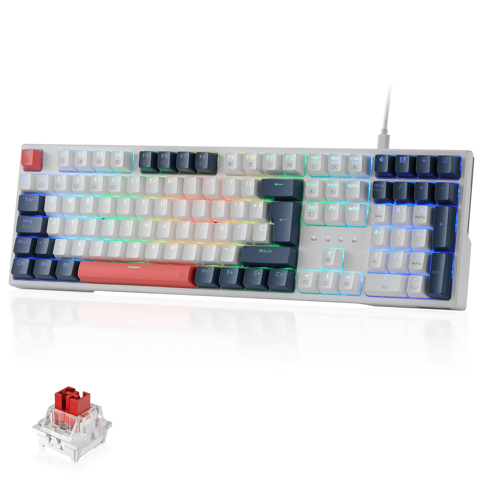 TRUNDLE K668 - Image 23