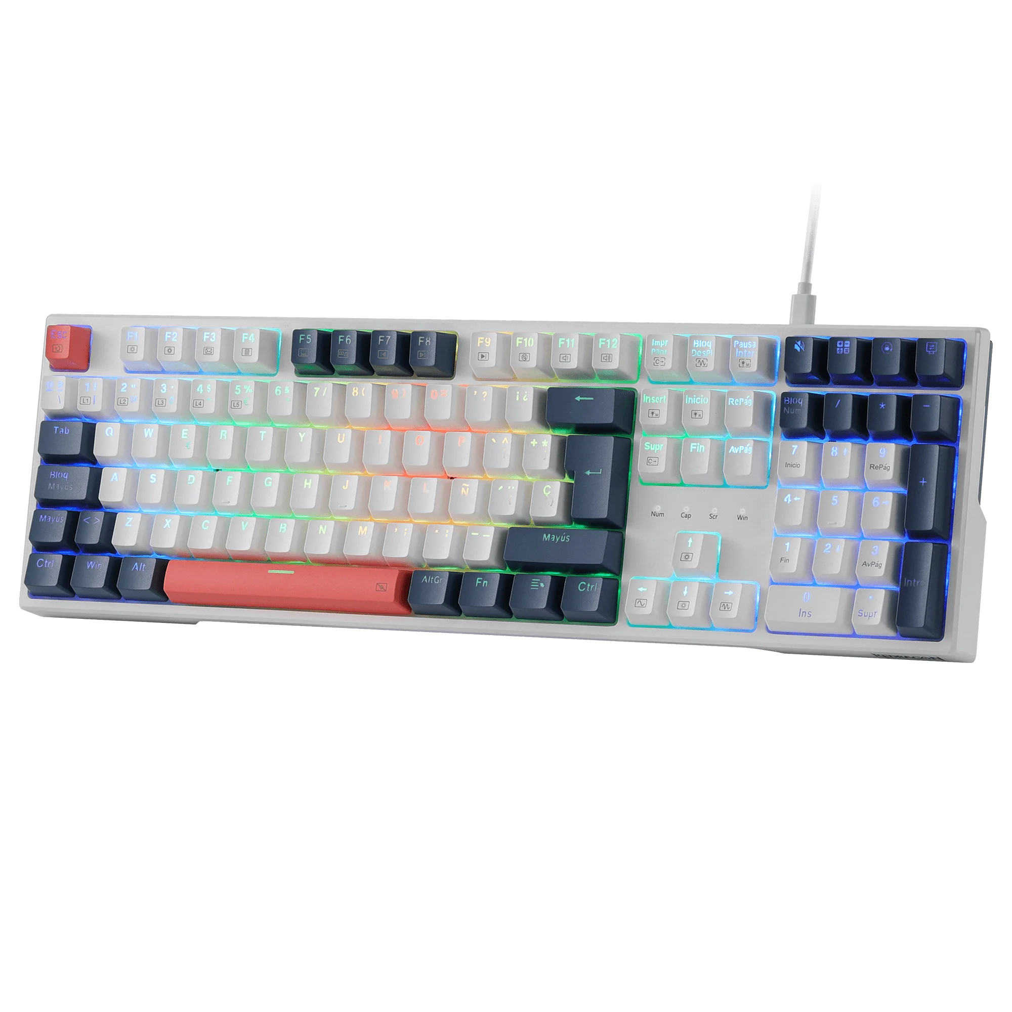 TRUNDLE K668 - Image 3
